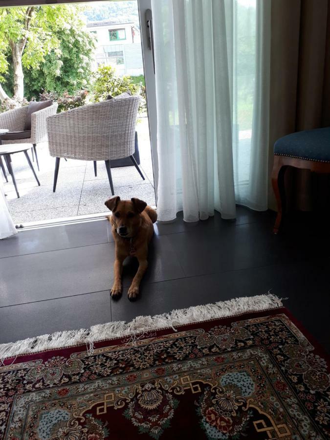 Bad Saeckingen - Sie Werden Sich Hier Wohl Fuehlen Apartment ภายนอก รูปภาพ