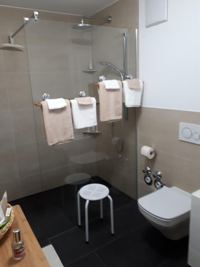 Bad Saeckingen - Sie Werden Sich Hier Wohl Fuehlen Apartment ภายนอก รูปภาพ